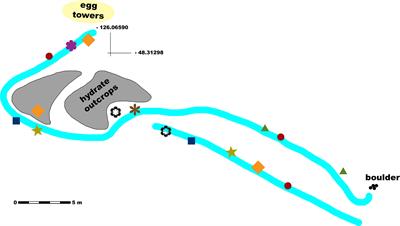 Transects in the deep: Opportunities with tele-operated resident seafloor robots